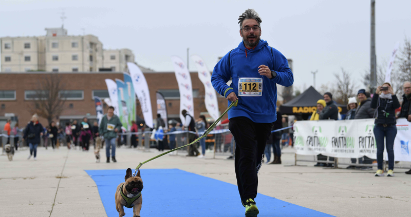DOGS & RUN